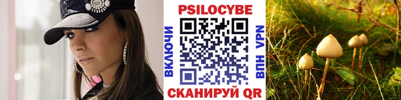 как найти   Санкт-Петербург  Галлюциногенные грибы Psilocybine cubensis 