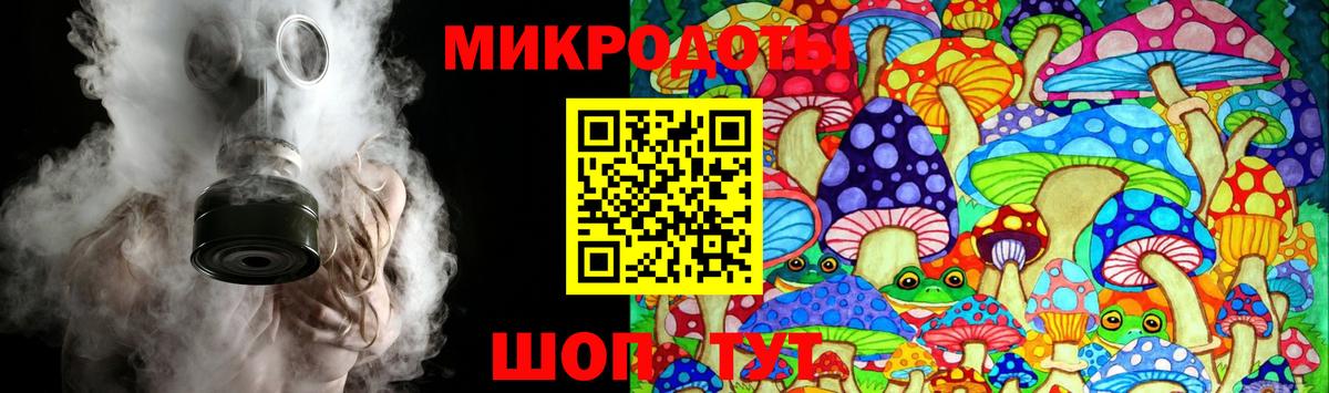 Галлюциногенные грибы Psilocybe Санкт-Петербург