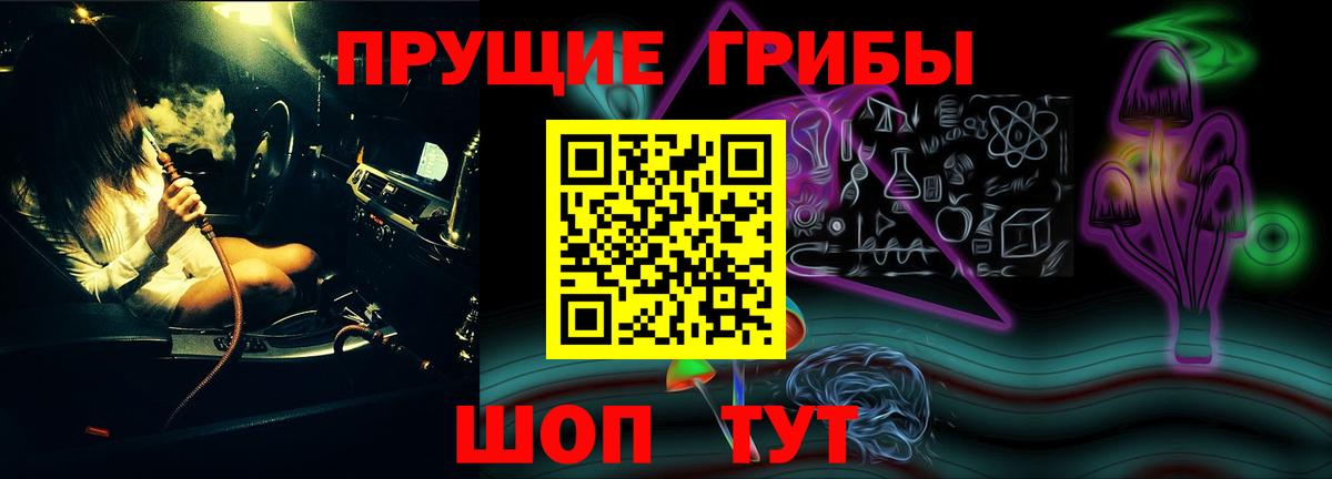 Санкт-Петербург  где можно купить наркотик  Галлюциногенные грибы MAGIC MUSHROOMS  Вход с VPN  Галлюциногенные грибы GOLDEN TEACHER 